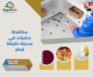 مكافحة حشرات في مدينة خليفة قطر