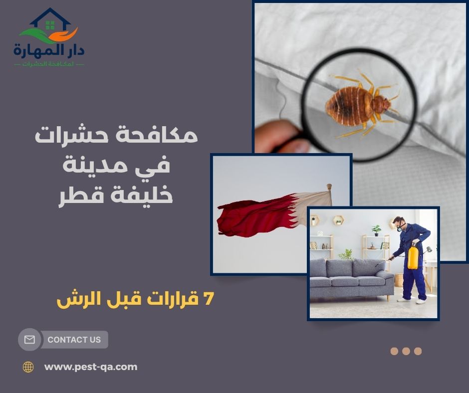 مكافحة حشرات في مدينة خليفة قطر
