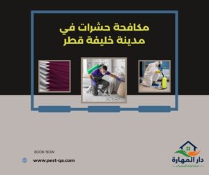 مكافحة حشرات في مدينة خليفة قطر