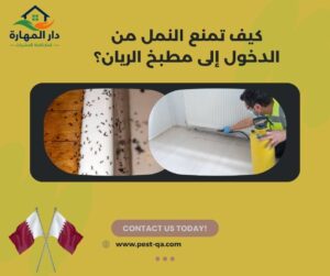 كيف تمنع النمل من الدخول إلى مطبخ الريان؟