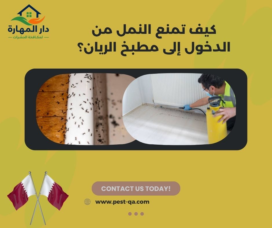 كيف تمنع النمل من الدخول إلى مطبخ الريان؟ كيف تمنع النمل من الدخول إلى مطبخ الريان؟