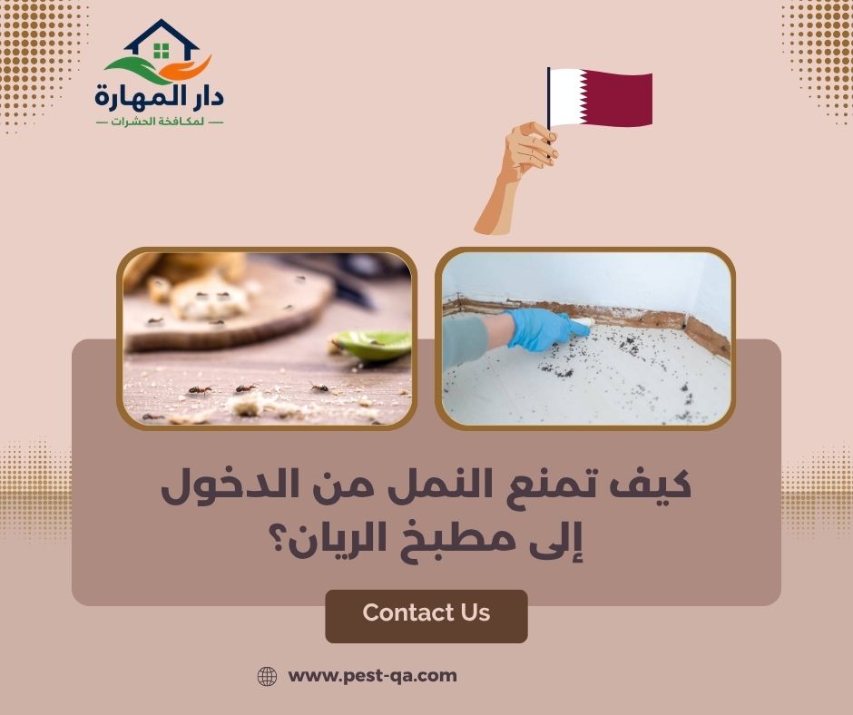 كيف تمنع النمل من الدخول إلى مطبخ الريان؟ كيف تمنع النمل من الدخول إلى مطبخ الريان؟