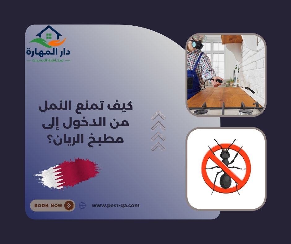 كيف تمنع النمل من الدخول إلى مطبخ الريان؟ كيف تمنع النمل من الدخول إلى مطبخ الريان؟