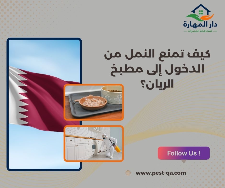 كيف تمنع النمل من الدخول إلى مطبخ الريان؟ كيف تمنع النمل من الدخول إلى مطبخ الريان؟